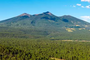 6705 Virgil Wy, Flagstaff, AZ 86001 - Photo 10