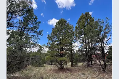 5036 N Cataract Drive, Williams, AZ 86046 - Photo 8