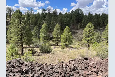 5036 N Cataract Drive, Williams, AZ 86046 - Photo 2