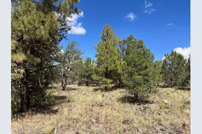 5036 N Cataract Drive, Williams, AZ 86046 - Photo 22