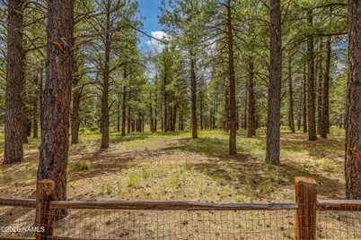 6032 S Cuprite Trail, Flagstaff, AZ 86005 - Photo 4