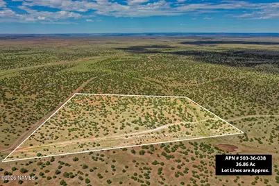 9287 S Lariat Road, Williams, AZ 86046 - Photo 4
