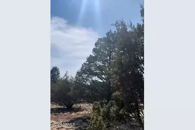 1462 E Barbara Road, Williams, AZ 86046 - Photo 4