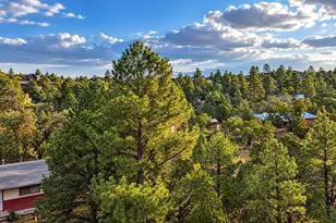 1895 Aspen Ln, Heber-Overgaard, AZ 85298 - Photo 38