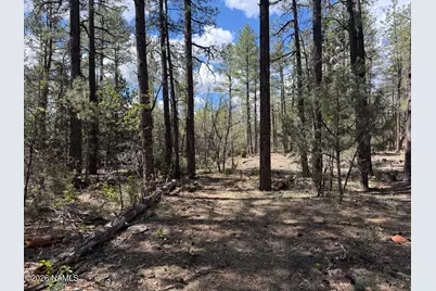 361 W Sierra Pines Drive, Show Low, AZ 85901 - Photo 4