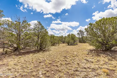 12731 N Sentinel Road, Williams, AZ 86046 - Photo 18