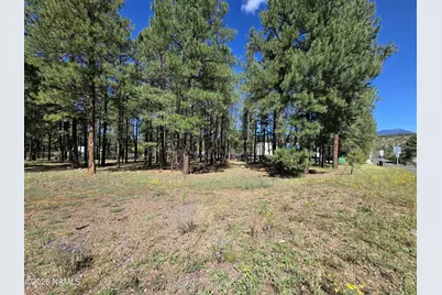 1863 S Thompson Street, Flagstaff, AZ 86001 - Photo 4