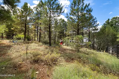 6019 E Abineau Canyon Drive, Flagstaff, AZ 86004 - Photo 46