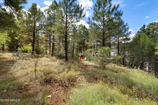 6019 E Abineau Canyon Dr, Flagstaff, AZ 86004 - Photo 46