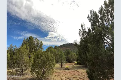 7197 N Red Lake Road, Williams, AZ 86046 - Photo 6