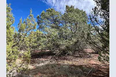 7197 N Red Lake Road, Williams, AZ 86046 - Photo 10