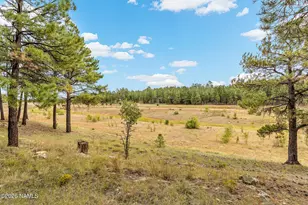 5045 E Lake Country Rd, Flagstaff, AZ 86004 - Photo 42