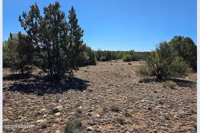 8001 W Clear Fork Loop, Williams, AZ 86046 - Photo 4
