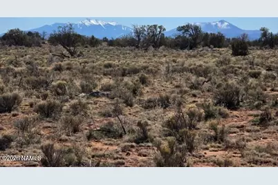 8001 W Clear Fork Loop, Williams, AZ 86046 - Photo 2
