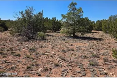 8001 W Clear Fork Loop, Williams, AZ 86046 - Photo 6