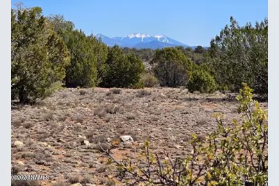 8001 W Clear Fork Loop, Williams, AZ 86046 - Photo 14