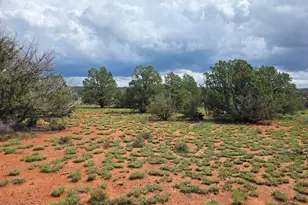 6437 Bird Dog Cir, Williams, AZ 86046 - Photo 40
