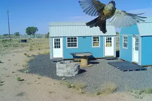 1925 S Wildflower Way, Williams, AZ 86046 - Photo 1
