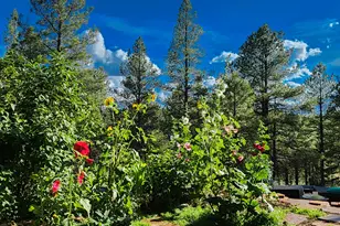 3148 Pioneer Trl, Flagstaff, AZ 86005 - Photo 96