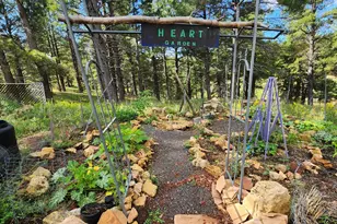 3148 Pioneer Trl, Flagstaff, AZ 86005 - Photo 100
