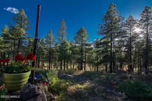 3148 Pioneer Trl, Flagstaff, AZ 86005 - Photo 94