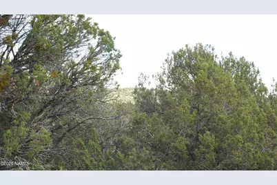 13 N Westwood Ranch Road #356, Williams, AZ 86046 - Photo 22
