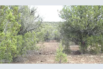 13 N Westwood Ranch Road #356, Williams, AZ 86046 - Photo 24