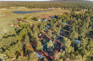 220 Lk Vw Dr, Mormon Lake, AZ 86038 - Photo 16