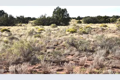 000 Santa Clara Road, Williams, AZ 86046 - Photo 2