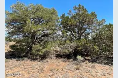 5785 N Muytala Lot D, Williams, AZ 86046 - Photo 10