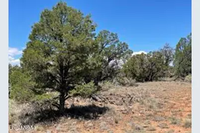 5785 N Muytala Lot D, Williams, AZ 86046 - Photo 8