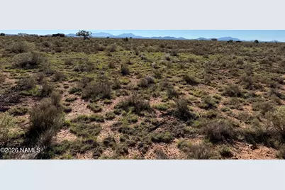 1976 E Collins Court, Williams, AZ 86046 - Photo 6