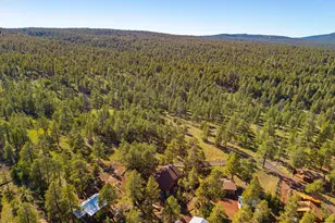 153 Mesa Dr, Mormon Lake, AZ 86038 - Photo 40