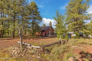 153 Mesa Dr, Mormon Lake, AZ 86038 - Photo 30