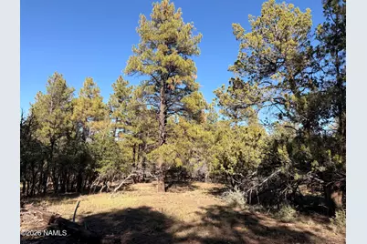 778 N Double A Ranch Road, Williams, AZ 86046 - Photo 14