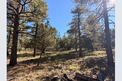 778 N Double A Ranch Road, Williams, AZ 86046 - Photo 8