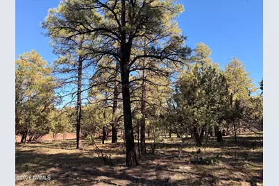 778 N Double A Ranch Road, Williams, AZ 86046 - Photo 12