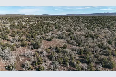 205-18-010 Dunbar Boulevard, Williams, AZ 86046 - Photo 8