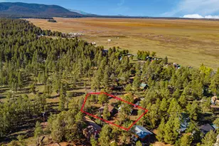 181 Mesa Dr, Mormon Lake, AZ 86038 - Photo 30
