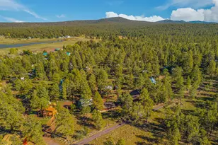 181 Mesa Dr, Mormon Lake, AZ 86038 - Photo 36