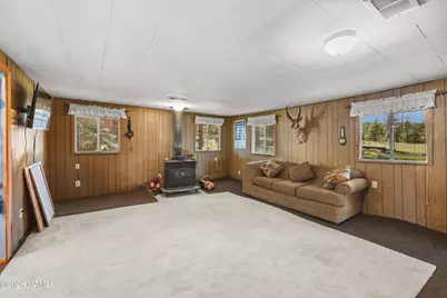 181 Mesa Drive, Mormon Lake, AZ 86038 - Photo 4
