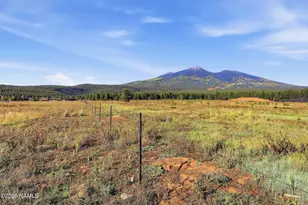 6830 N Hwy 180, Flagstaff, AZ 86001 - Photo 38