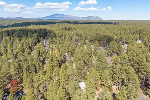 538 Choctaw, Flagstaff, AZ 86005 - Photo 58