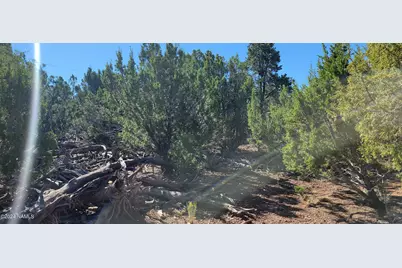 2432 E Fir Street, Williams, AZ 86046 - Photo 8