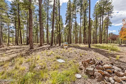 2550 Ben Brooks -- 4, Flagstaff, AZ 86005 - Photo 28