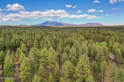 2550 Ben Brooks -- 4, Flagstaff, AZ 86005 - Photo 4