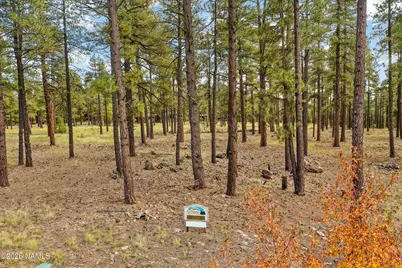 2550 Ben Brooks -- 4, Flagstaff, AZ 86005 - Photo 6