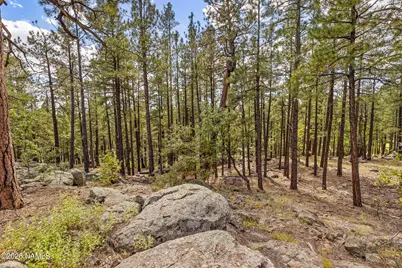 2550 Ben Brooks -- 4, Flagstaff, AZ 86005 - Photo 38
