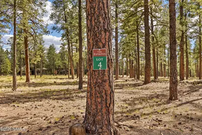 2550 Ben Brooks -- 4, Flagstaff, AZ 86005 - Photo 26
