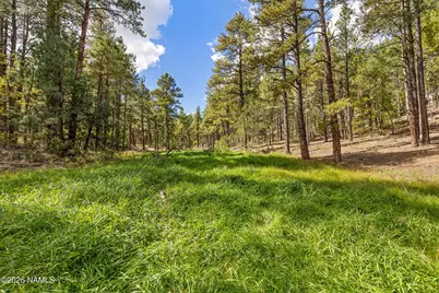 2550 Ben Brooks -- 4, Flagstaff, AZ 86005 - Photo 40